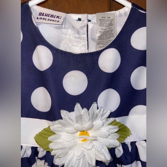 Blueberi Blvd Girl’s Dress (18M) - Picture 3 of 4